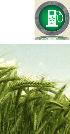 AGS TR13.jpg