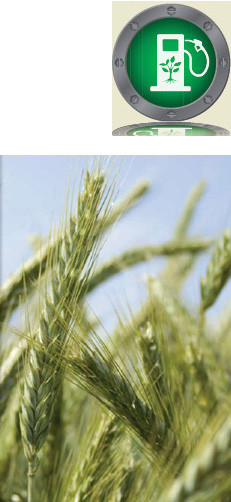 Agronom.jpg