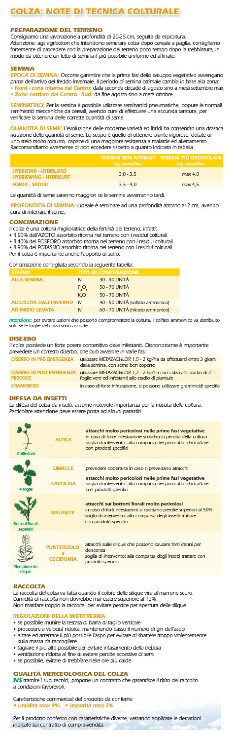 Colza_Note di Tecnica Colturale.jpg